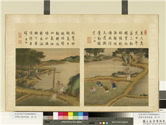 清陈枚画耕织图　册　三耘,绘画,山水,人物,器用,树木,建筑,民俗技艺