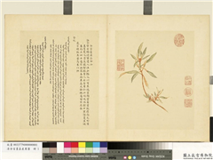 清余省画嘉产荐馨　册　白茅香,绘画,花草