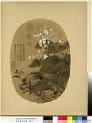 清余省画花卉　册　秋海棠淡竹叶,绘画,花草,山水