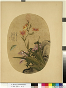 清余省画花卉　册　蝴蝶花遍地锦,绘画,花草,草虫