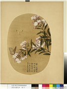 清余省画花卉　册　夹竹桃,绘画,花草,草虫