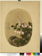 清余省画花卉　册　鱼儿牡丹,绘画,花草