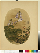 清余省画花卉　册　玉簪花万寿菊,绘画,花草