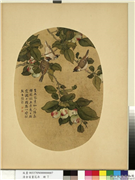 清余省画花卉　册　林檎果,绘画,果蔬,翎毛