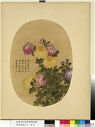 清余省画花卉　册　菊,绘画,花草