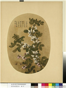 清余省画花卉　册　蚕豆花紫花地丁,绘画,花草,草虫