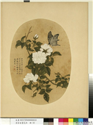 清余省画花卉　册　白蔷薇,绘画,花草,草虫