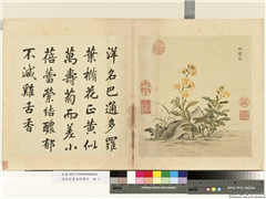 清余省画海西集卉　册　檀罗结,绘画,花草