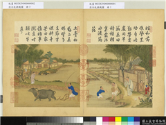 清冷枚耕织图　册　耕,绘画,走兽,山水,人物,树木,建筑,船,民俗技艺,器用