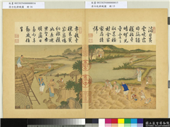 清冷枚耕织图　册　收刈,绘画,山水,五谷,人物,树木,花草,建筑,器用