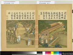 清冷枚耕织图　册　采桑,绘画,人物,树木,山水,器用