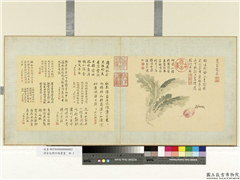 清金廷标仿陈书画　册　萝卜霜松,绘画,果蔬
