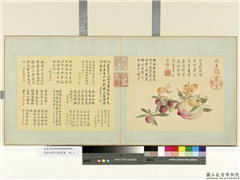 清金廷标仿陈书画　册　襍果,绘画,果蔬