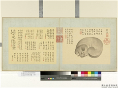 清金廷标仿陈书画　册　眠犬,绘画,走兽