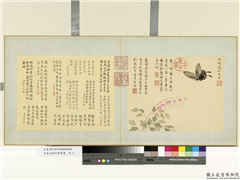 清金廷标仿陈书画　册　蝴蝶凤仙牡丹,绘画,花草,草虫