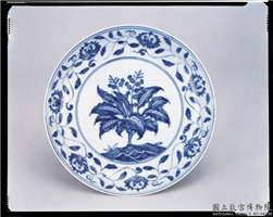 明 成化窑 青花栀子花卉纹盘,明 成化,陶瓷,盛装器