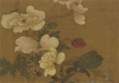 元王渊画花卉　册　虞美人月季