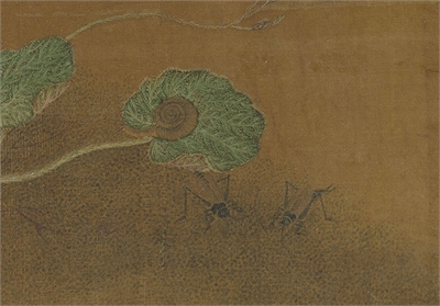 元王渊画花卉　册　虎耳草
