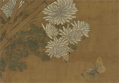 元王渊画花卉　册　菊