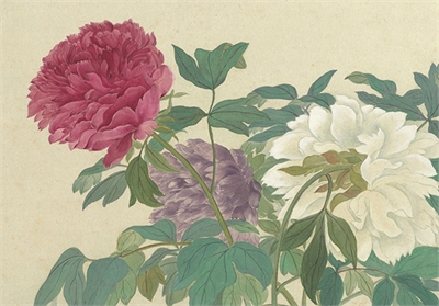 清恽寿平王翬花卉山水合册　册　牡丹