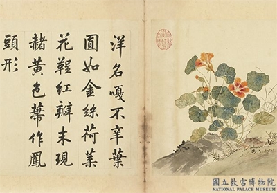 清余省画海西集卉　册　朝阳凤