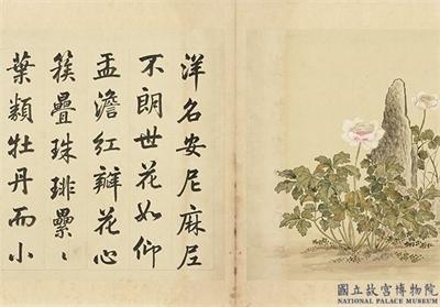 清余省画海西集卉　册　瑞珠盘