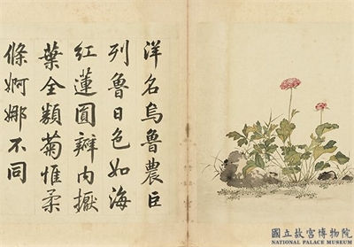清余省画海西集卉　册　茜秋霞