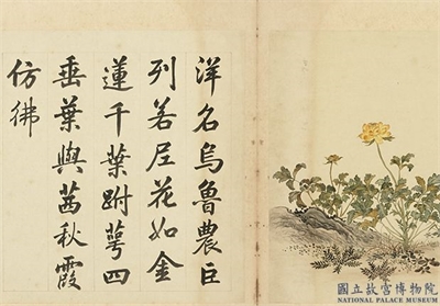清余省画海西集卉　册　镂金英